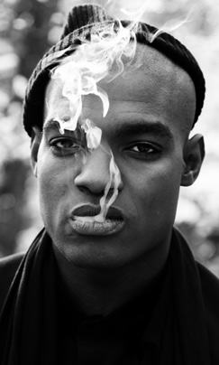 Dot Rotten